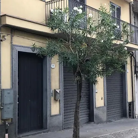 Viola Dell'etna * Zafferana Etnea
